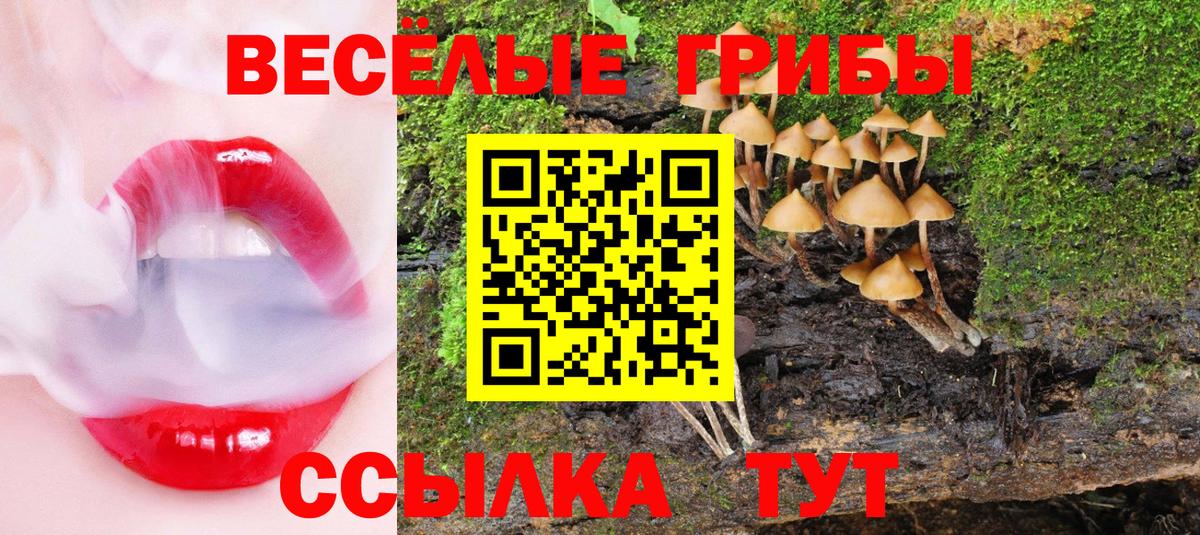 Кыштым  Псилоцибиновые грибы MAGIC MUSHROOMS  Вход с VPN  Псилоцибиновые грибы ЛСД 