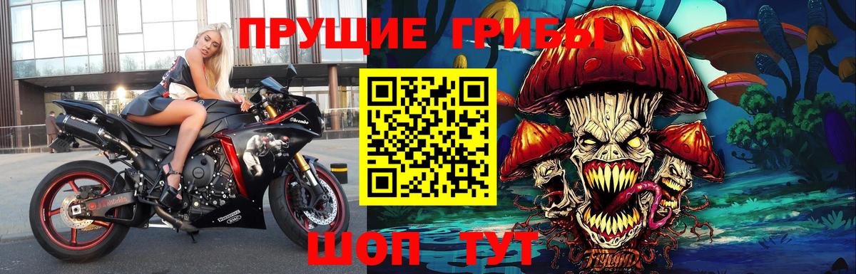 Альфа ПВП Кыштым